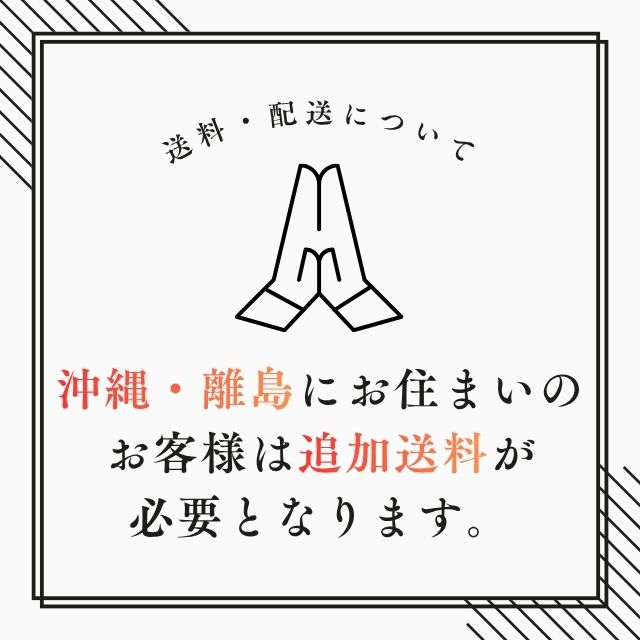 楽天市場】ボールバッグ付き 送料無料【メーカー直送】ミカサ MIKASA