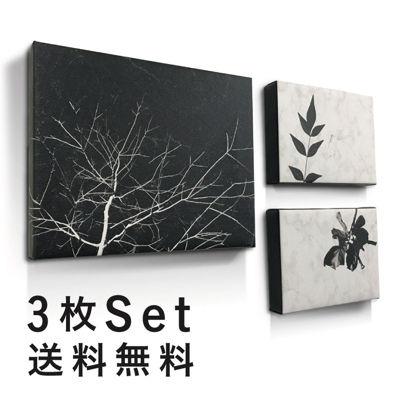 楽天市場】【 モノトーン ファブリックパネル 3枚 セット 】ボタニカル