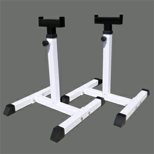 楽天市場】WILD FIT (ワイルドフィット) トレーニングジムセット