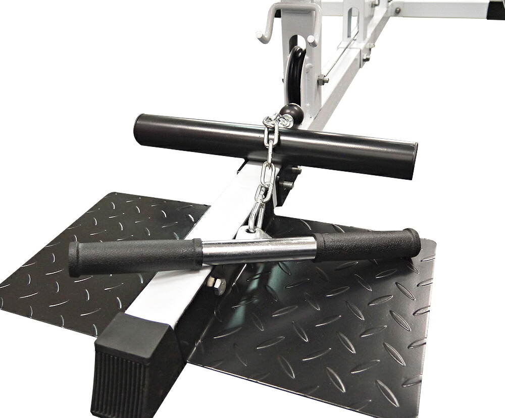 楽天市場】WILD FIT ワイルドフィット ラットプル マシン Φ28送料無料