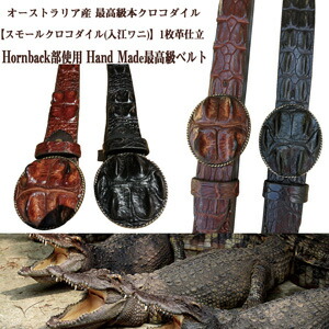 楽天市場】オーストラリア産 最高級本クロコダイル1枚革仕立 Hornback