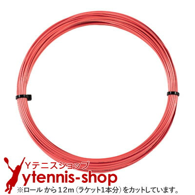 楽天市場】ポリファイバー(polyfibre) エボリューション (evolution)の通販