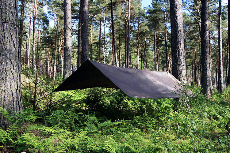 楽天市場】DDタープ 4.5m×3m DD Tarp XL DDハンモック DD Hammocks