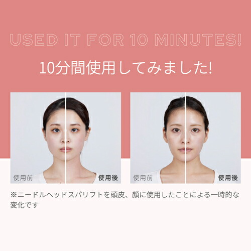 楽天市場】【15%オフ☆3/4 20:00から3/11 1:59まで】ヘッドスパ 電動