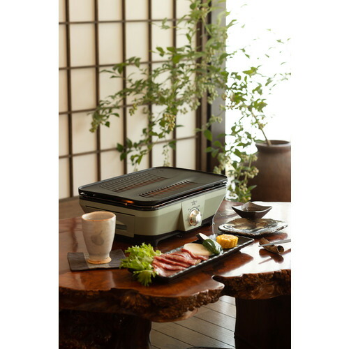 楽天市場】Aladdin(アラジン) CAGMG7A グラファイトミニグリラー