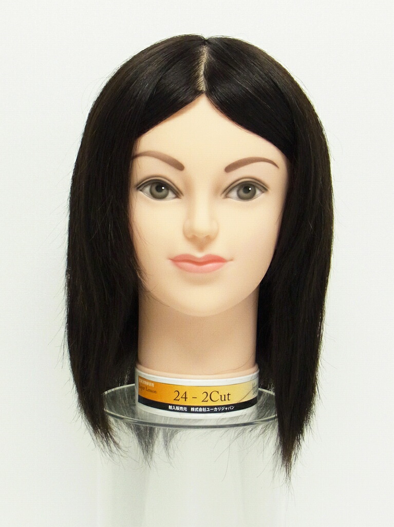 楽天市場】ユーロプレステージ 実技試験美容師本番用カットマネキン24