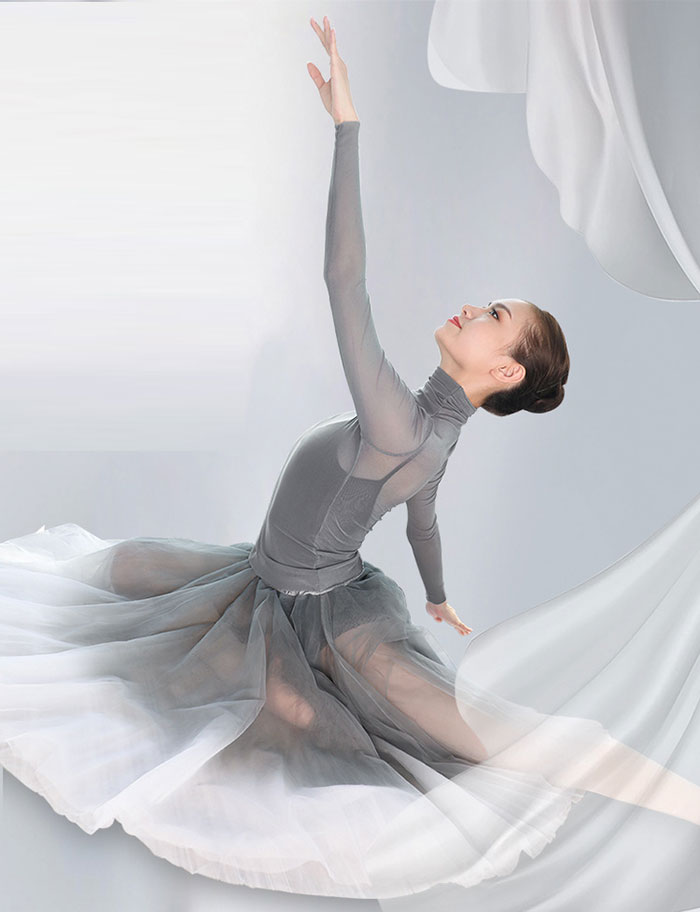 楽天市場】バレエ トップス ハイネック 長袖 大人 ダンス チュール