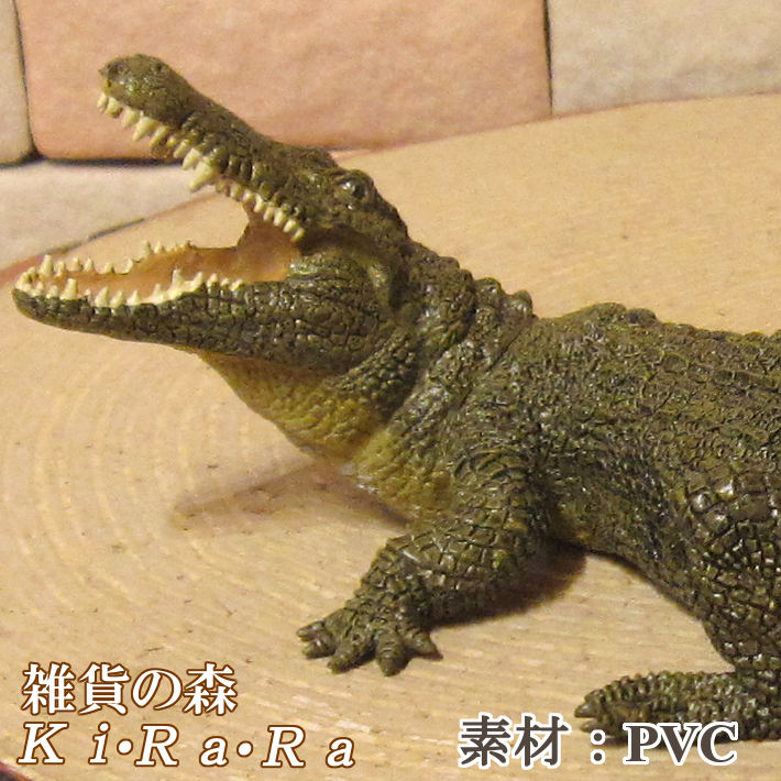 楽天市場】ワニの置物 ナイルワニ リアルな 鰐 わに 爬虫類 動物