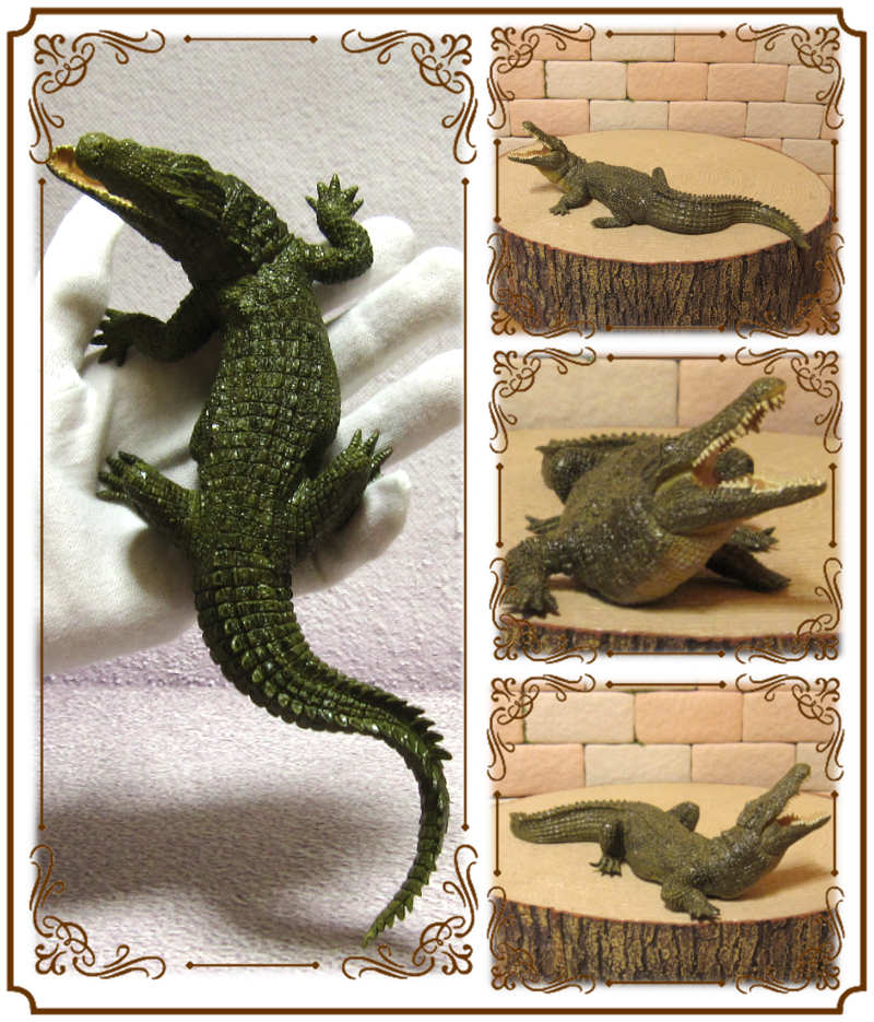 楽天市場】ワニの置物 ナイルワニ リアルな 鰐 わに 爬虫類 動物