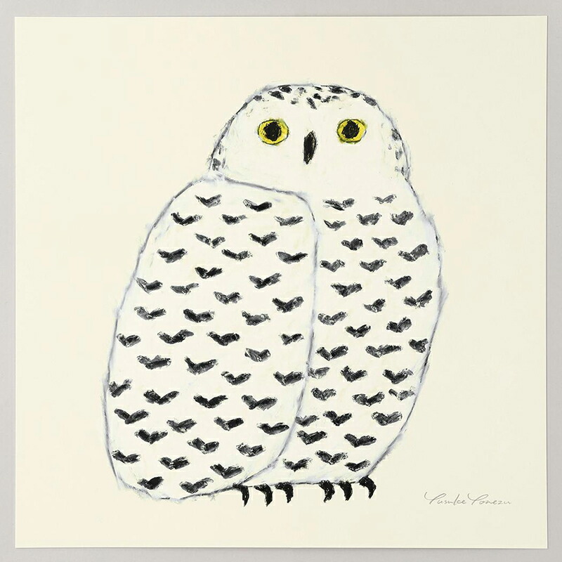 楽天市場】シロフクロウ フレーム50＋額装マット付き 米津祐介