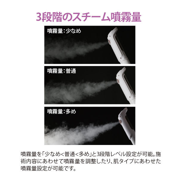楽天市場】フェイシャルスチーマー エステスチーマー エトゥベラ FS300