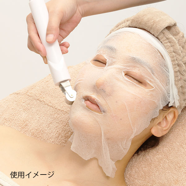 楽天市場】業務用 サロン用 イオン導入 美顔器 HD イオン導入器 イオン