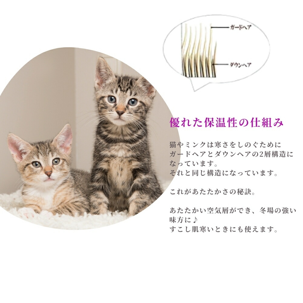 楽天市場】【売り切り】阪神タイガース 2023 セ・リーグ優勝記念