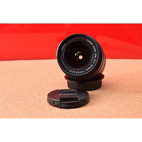 初心者用の一眼レフカメラ専門館TSS / Canon キャノン EOS Kiss X5