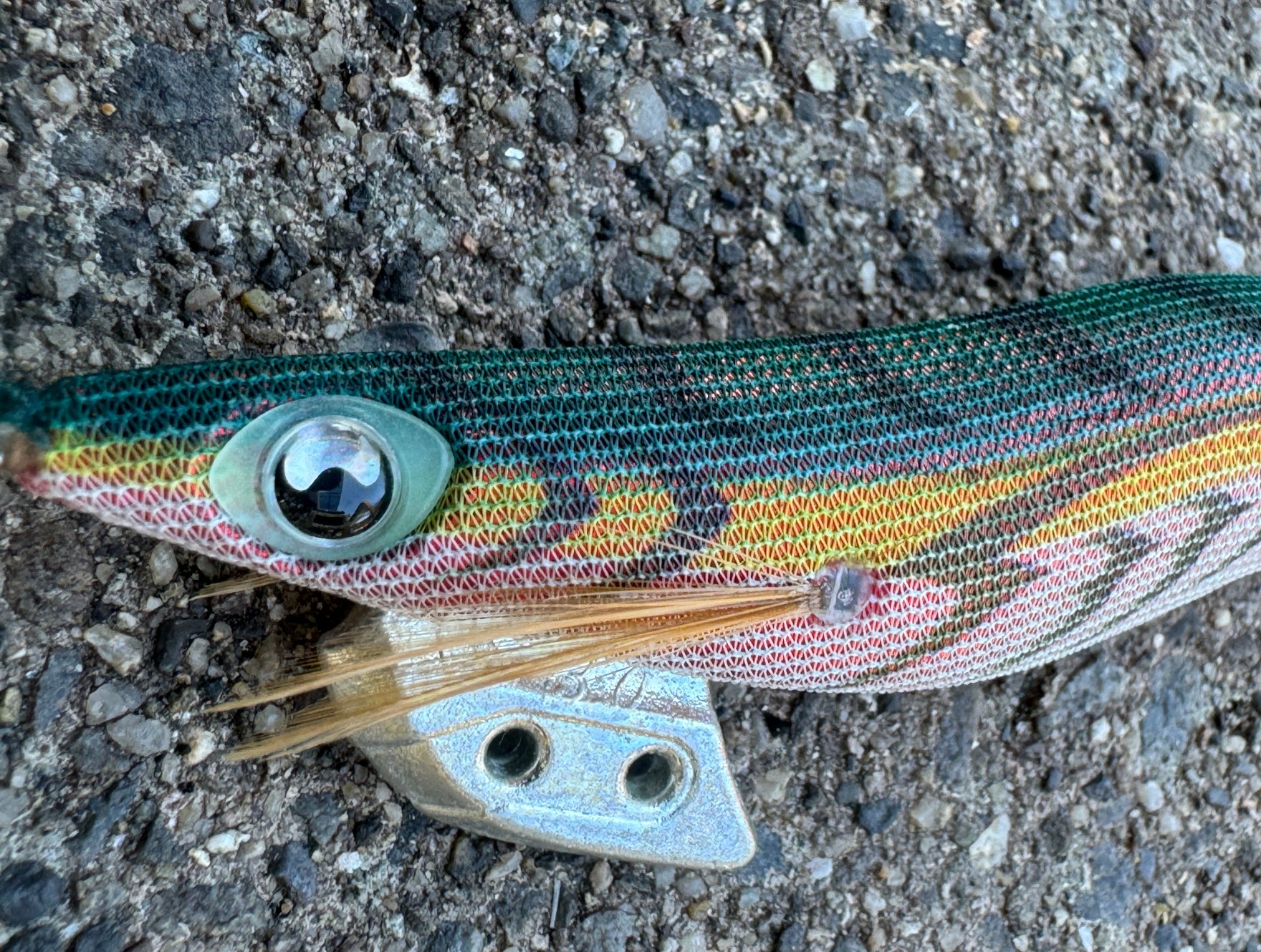 エギ人気ナンバーワンの「軍艦グリーン」は暗闇時に有効だが、日中は