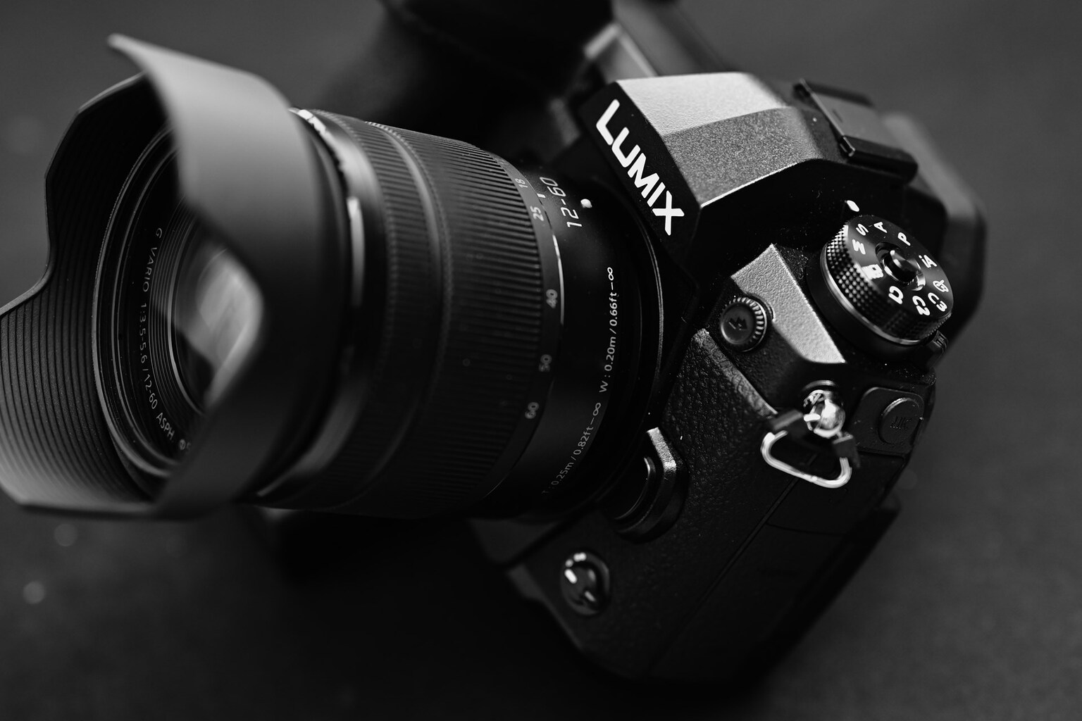 子供の撮影にはPanasonic DC-G9を買っとけという話 | つづれやノぶろぐ