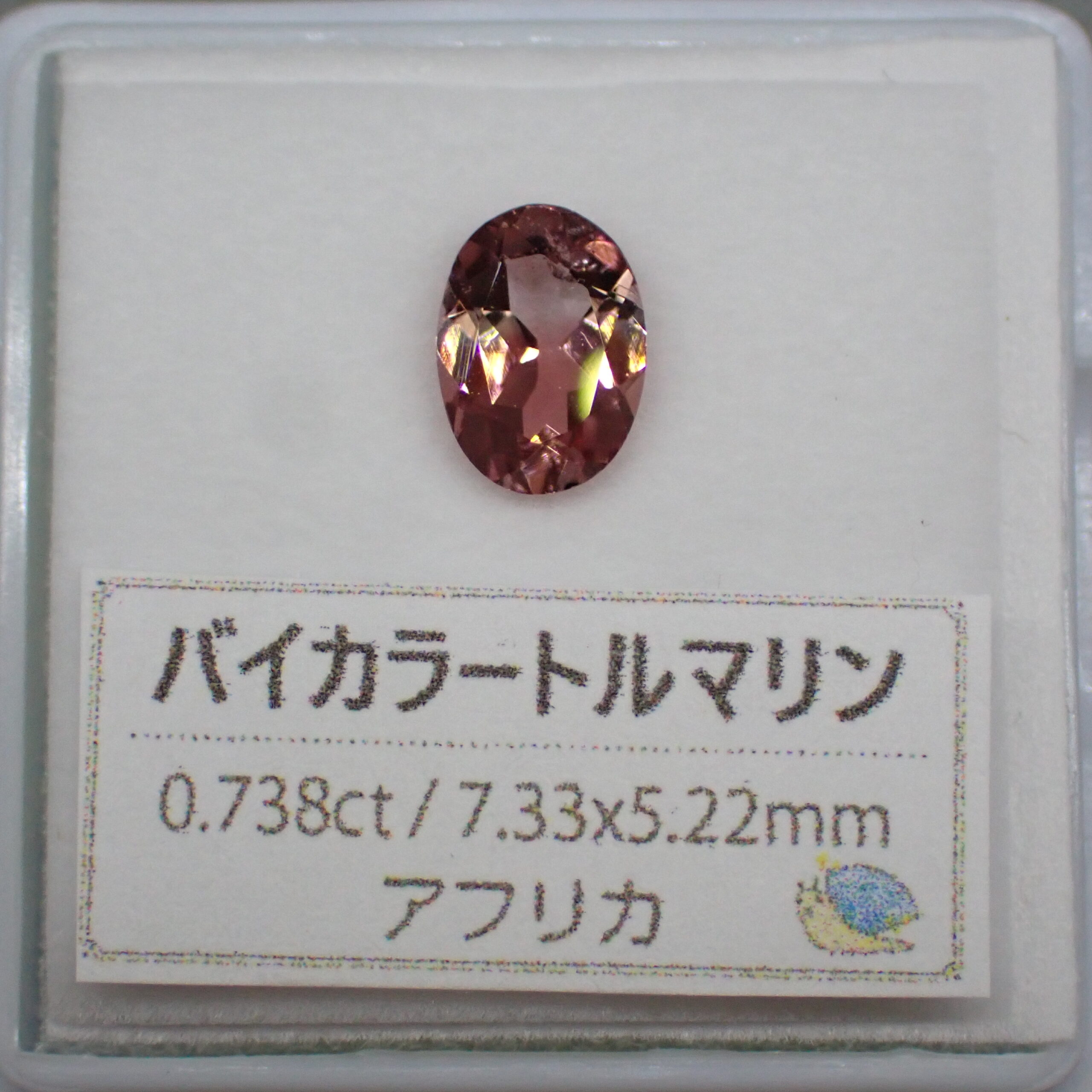 ピンク！？オレンジピンク！？カラーレス！？不思議なバイカラー