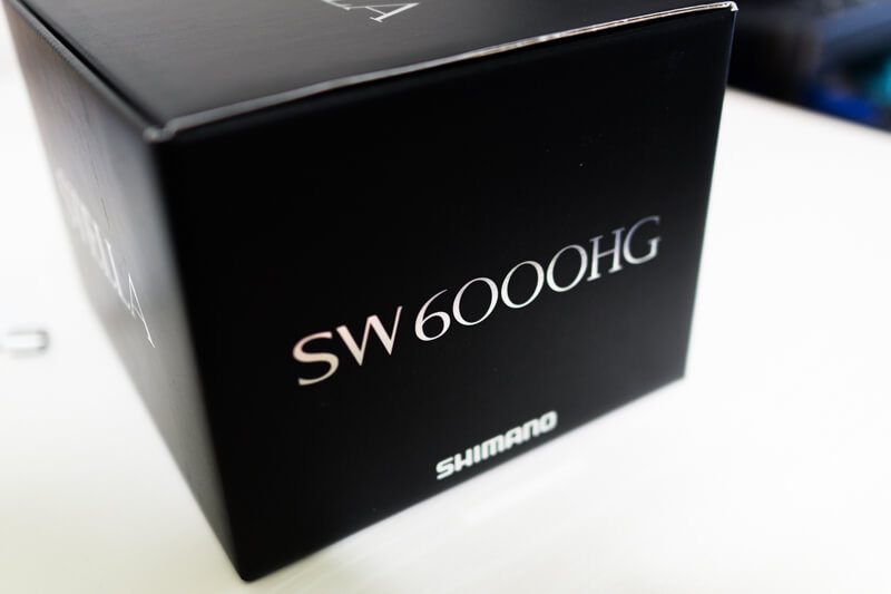 20 ステラSW 6000HGを購入