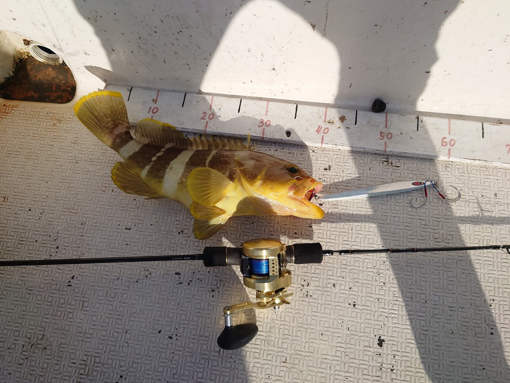 ダイワのスロージギングロッド【ブラストSJ63B－1】使ってみまし