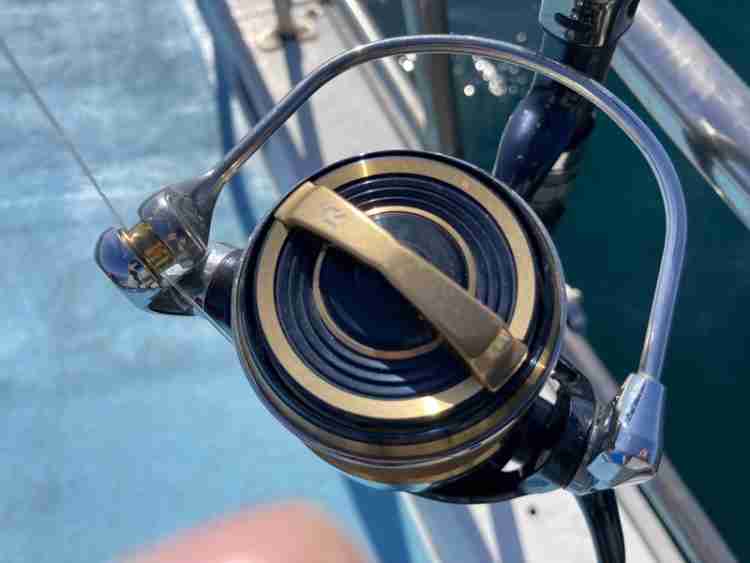 20 ソルティガ 8000-Pのスペックとインプレ | 釣りクラウド