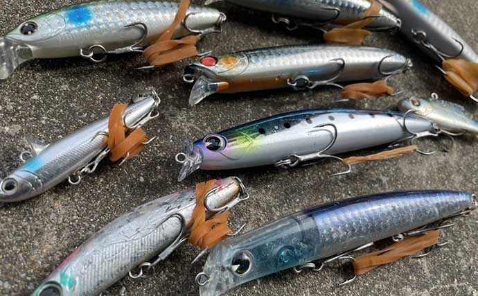 シーバスルアーにおけるボラカラー最強説 濁りにも澄み潮にも対応可能