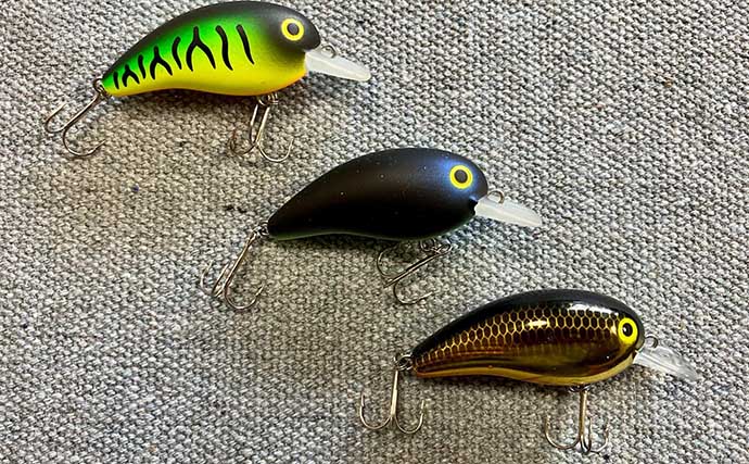 ブラックバス釣りで【初心者が最初に買うべきおすすめルアー6選