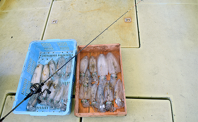 地域特化型ロッド】で瀬戸内のアオリイカ20尾手中 決め手の「和田式