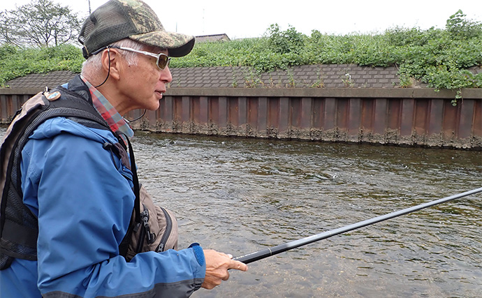 流し毛鉤でオイカワ釣り堪能【埼玉・柳瀬川】手軽なのに奥が深い淡水