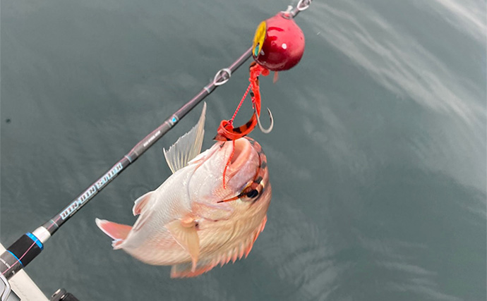 タイラバロッドおすすめ8選 竿選びのポイントと代用ロッドも紹介