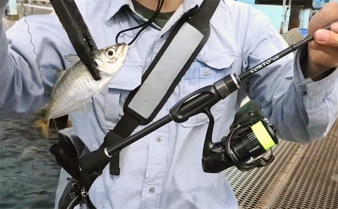 アジングロッドに迷ったら『23コルトUX』で決まり コスパ抜群のモデル