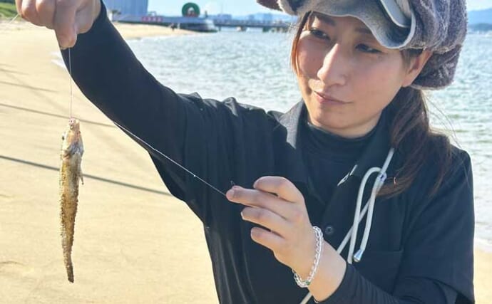 尺ギスヒット！」西戸崎のちょい投げ釣りで30cmキス＆ガザミをキャッチ