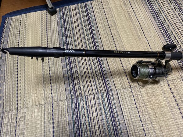 7年使用インプレ】ダイワのリーガル4-53遠投はカゴ釣り初心者に超