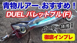 青物ルアーおすすめ】「ダイワ セットアッパー145S-DR」（ミノー）徹底