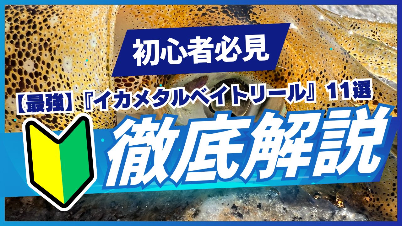 イカメタル用ベイトリールの最強選び方｜軽量リール・カウンター付き