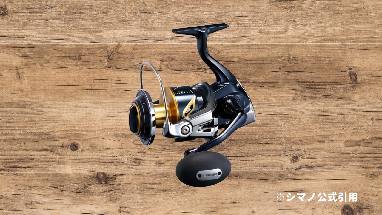 25ソルティガ 10000-Pの魅力を徹底解説｜2025年4月発売のパワー特化