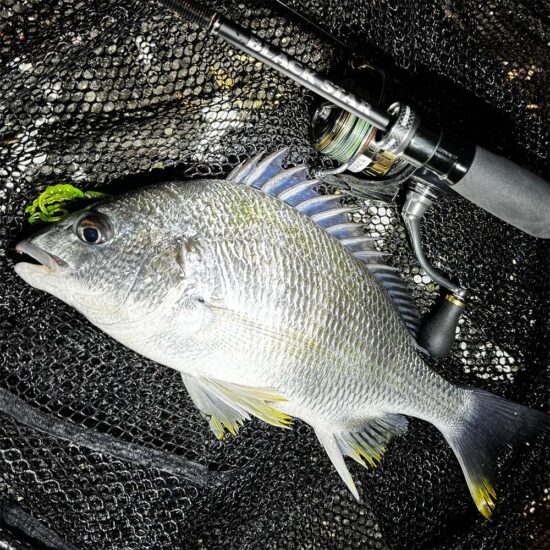 25ブラックスターが誕生！トレカT1100Gを採用し大幅性能アップ