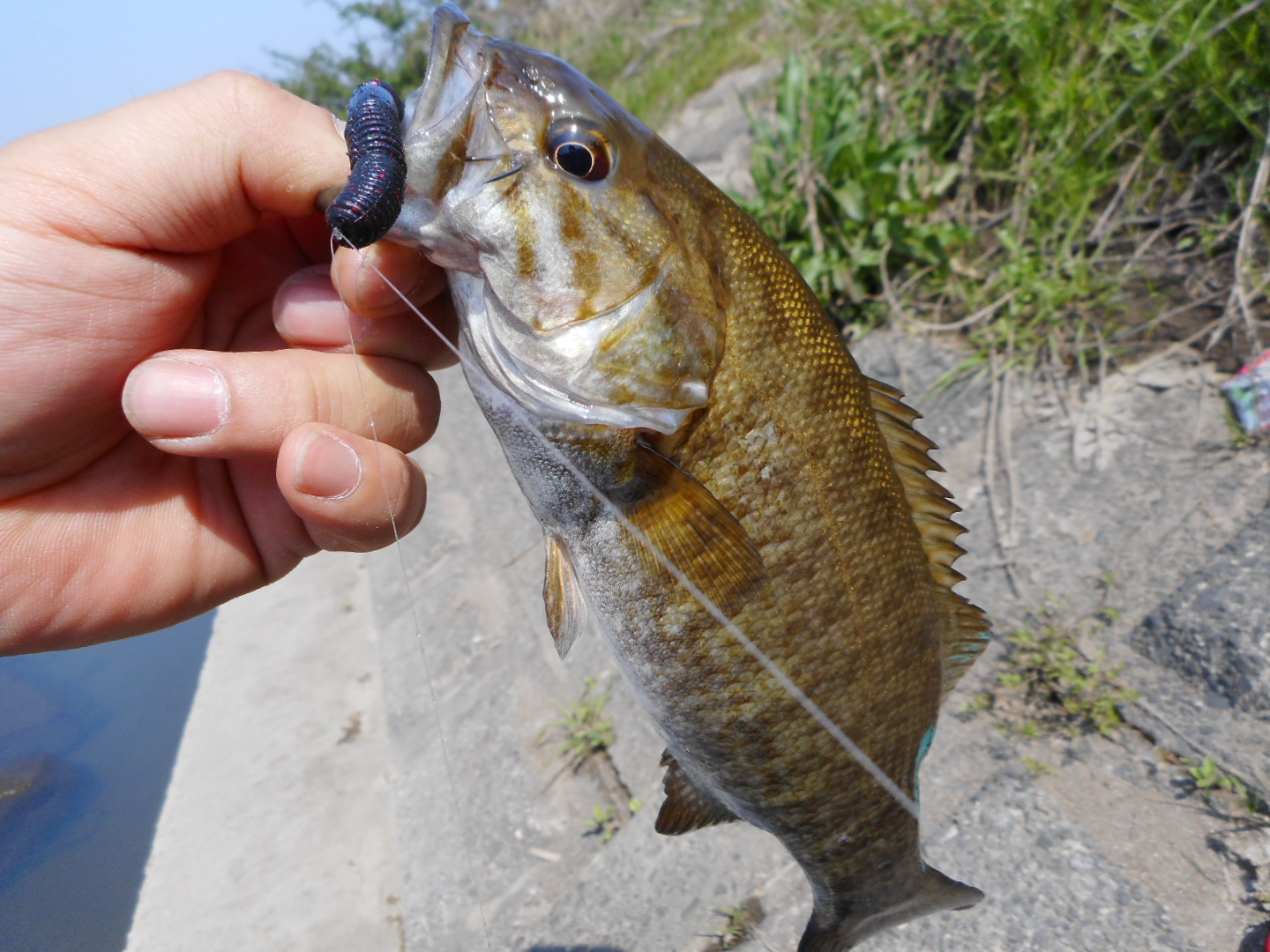 オフセットフック（ワームフック）ならこれ！バス釣りで人気のおすすめ