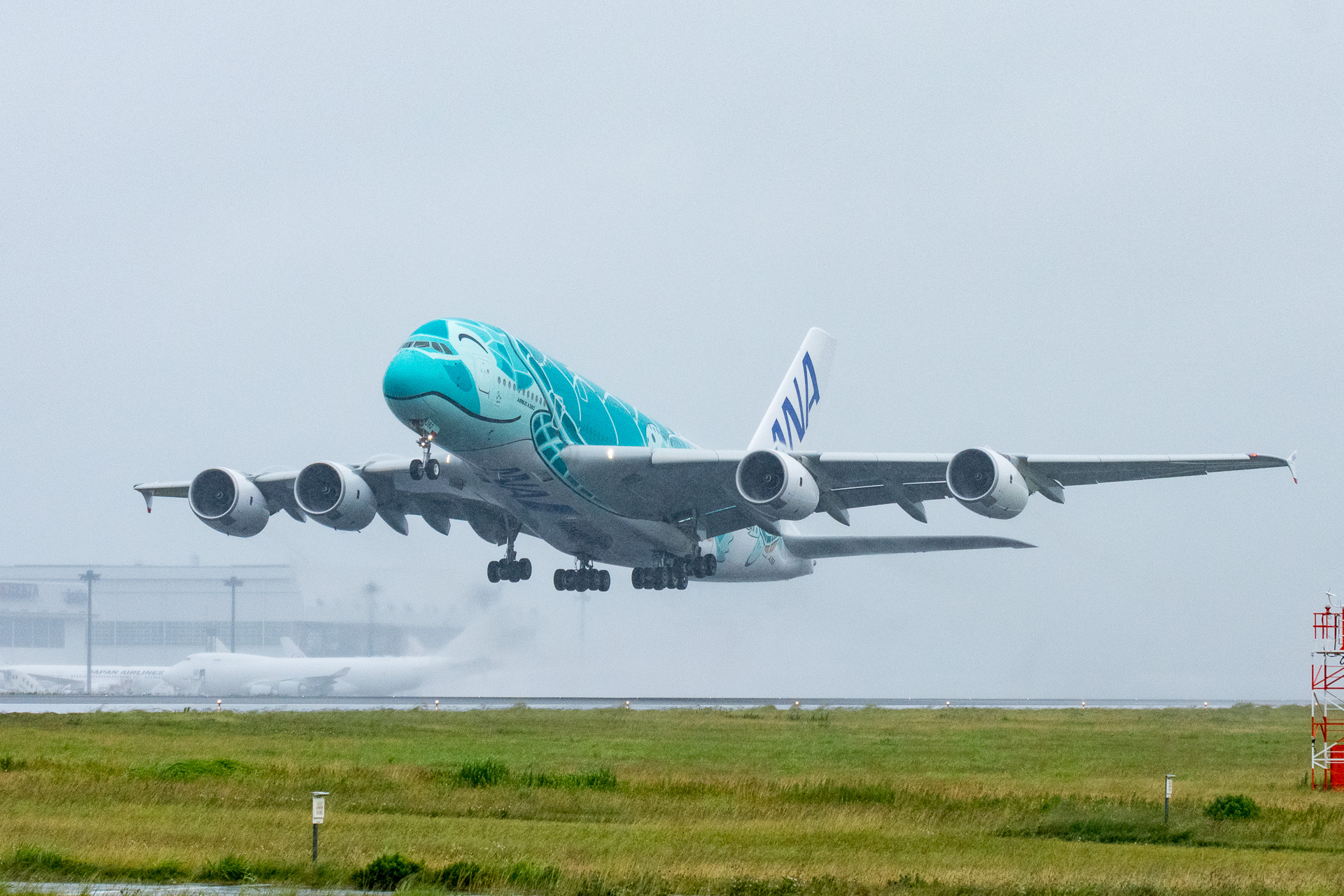 ANAのエアバス A380型機「フライング・ホヌ」が約3か月ぶりに空へ