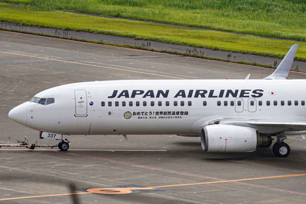 世界の宝」とデカデカ描かれたJAL機誕生 世界自然遺産記念機「JA337J