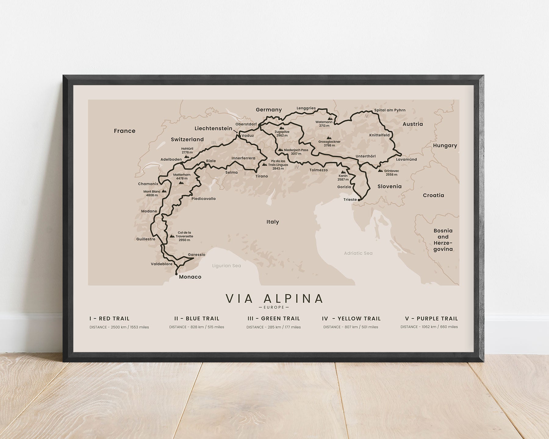 Via Alpina Trail Poster (All Colors) – Trail Goals