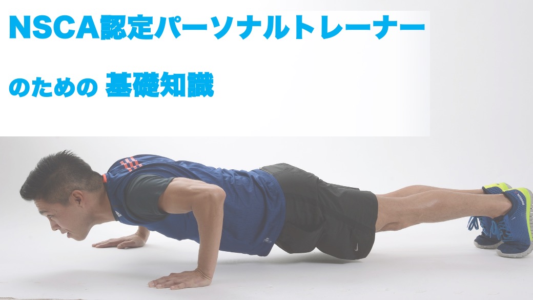 NSCA 認定パーソナルトレーナーのための基礎知識 - トレーナーズアカデミー