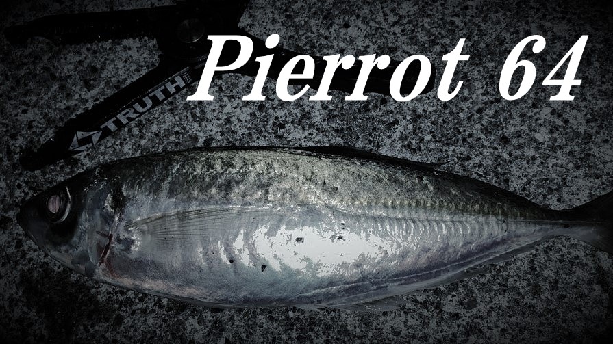 Pierrot 64 | TRUTH JAPAN