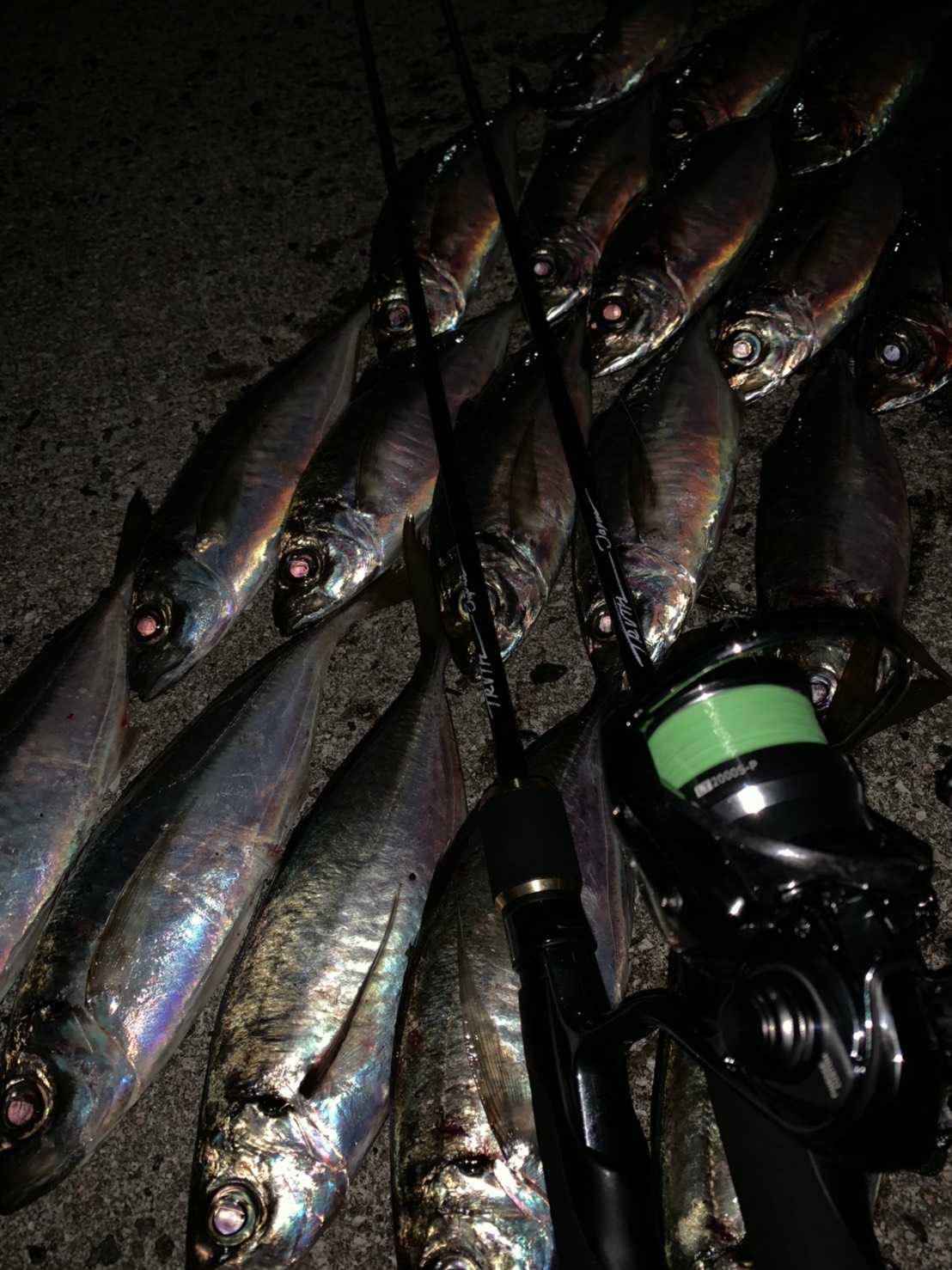 Pierrot 511 | TRUTH JAPAN