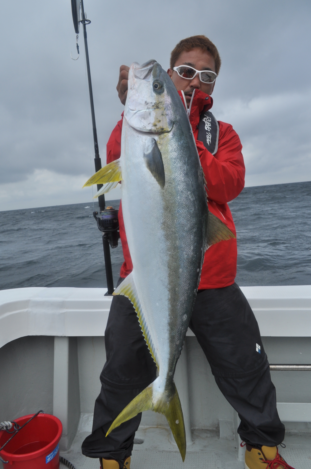 WhiteInsight 828 | TRUTH JAPAN