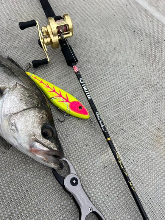 東京湾 サーカスファンタジー ビッグベイトボートシーバス (Rucell511