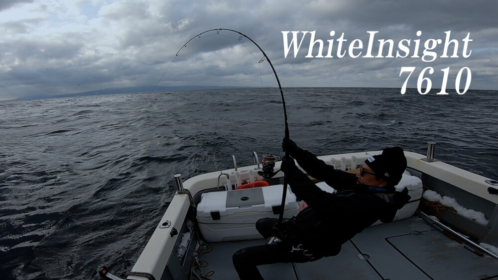 WhiteInsight 7610 | TRUTH JAPAN