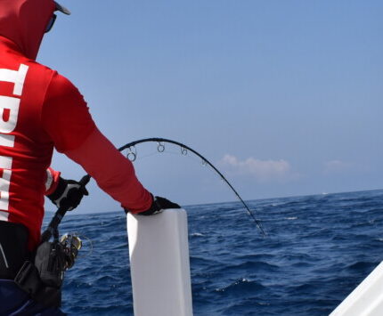 BlackDimension 106 MajesticResistance（ROCK SHORE BLUE RUNNER