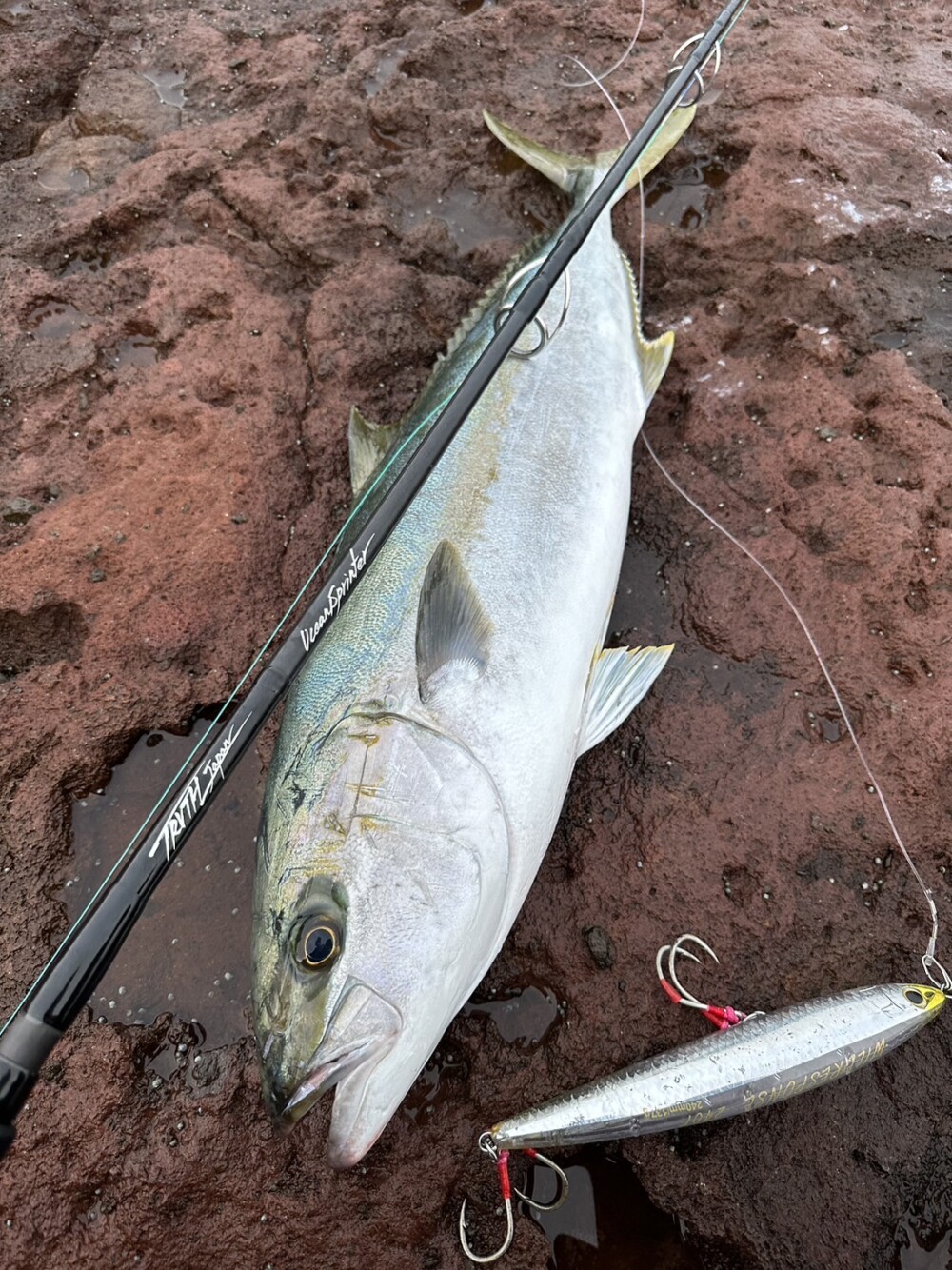 BlackDimension 95Heavy (ROCK SHORE BLUE RUNNER Model) | TRUTH JAPAN