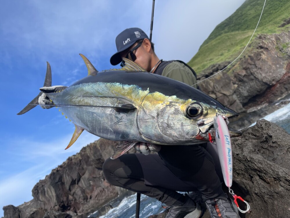 BlackDimension H Class Proto 八丈島 | TRUTH JAPAN