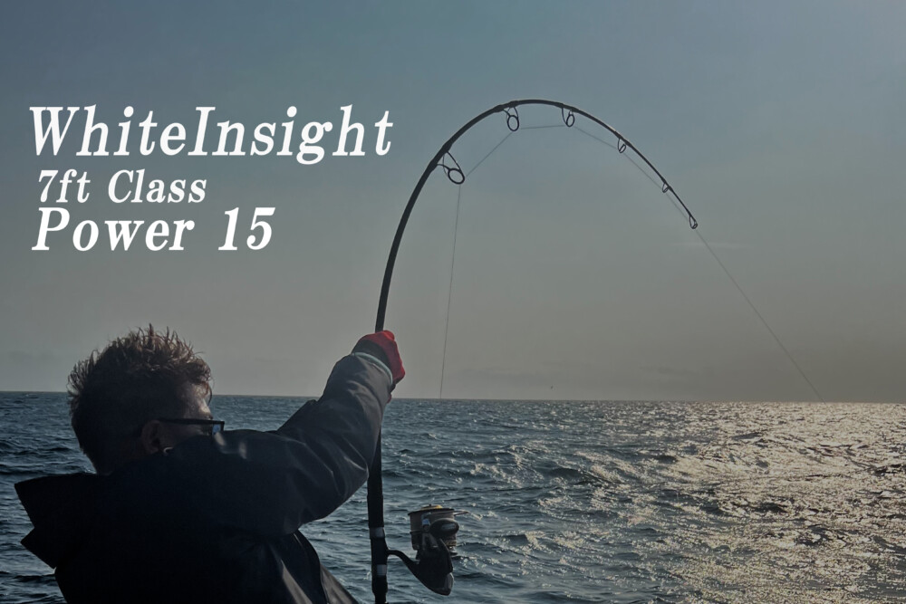 WhiteInsight 7415 | TRUTH JAPAN